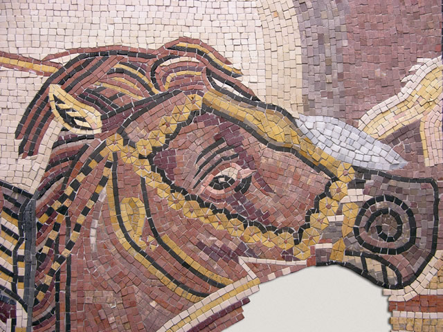 dscn1191.JPG