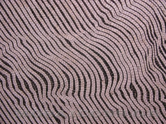 dscn1346.JPG