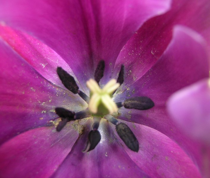dscn1612.JPG