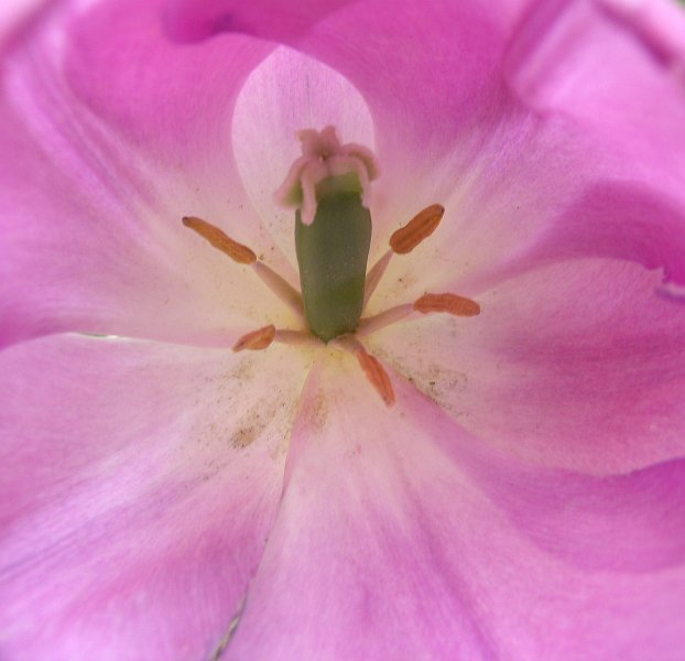 dscn1617.JPG